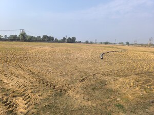 Plot Area in  Land at Pataudi – for Sale