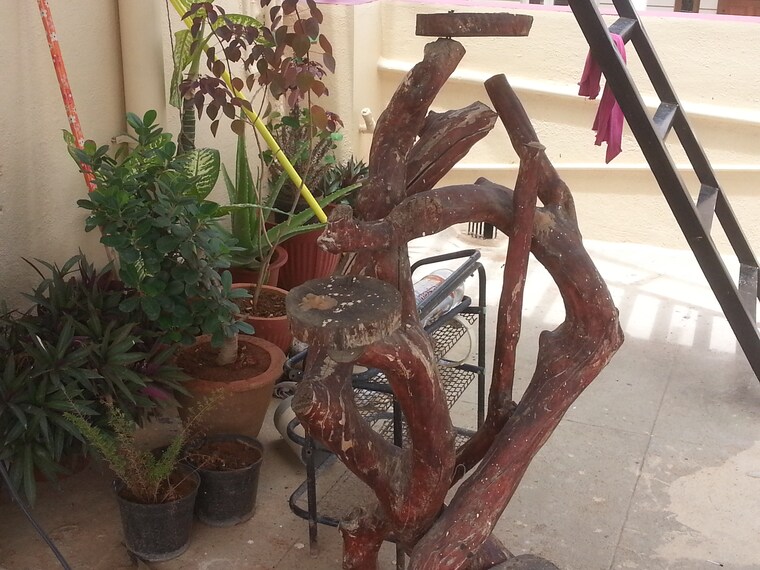 Gym, rt nagar 1 Bedroom 690 Sq.Ft. Independent House In Rt Nagar Bangalore 9539690