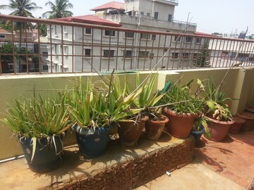 1 RK Independent House – Exterior View View at Rt Nagar - for Rent