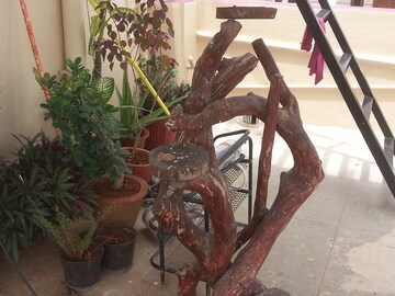 Gym in  Pg at Rt Nagar – for Rent