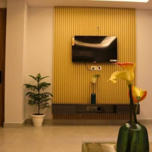 Living Room in 2 BHK Apartment at Krisumi Waterside Residences, Sector 36a – for Rent