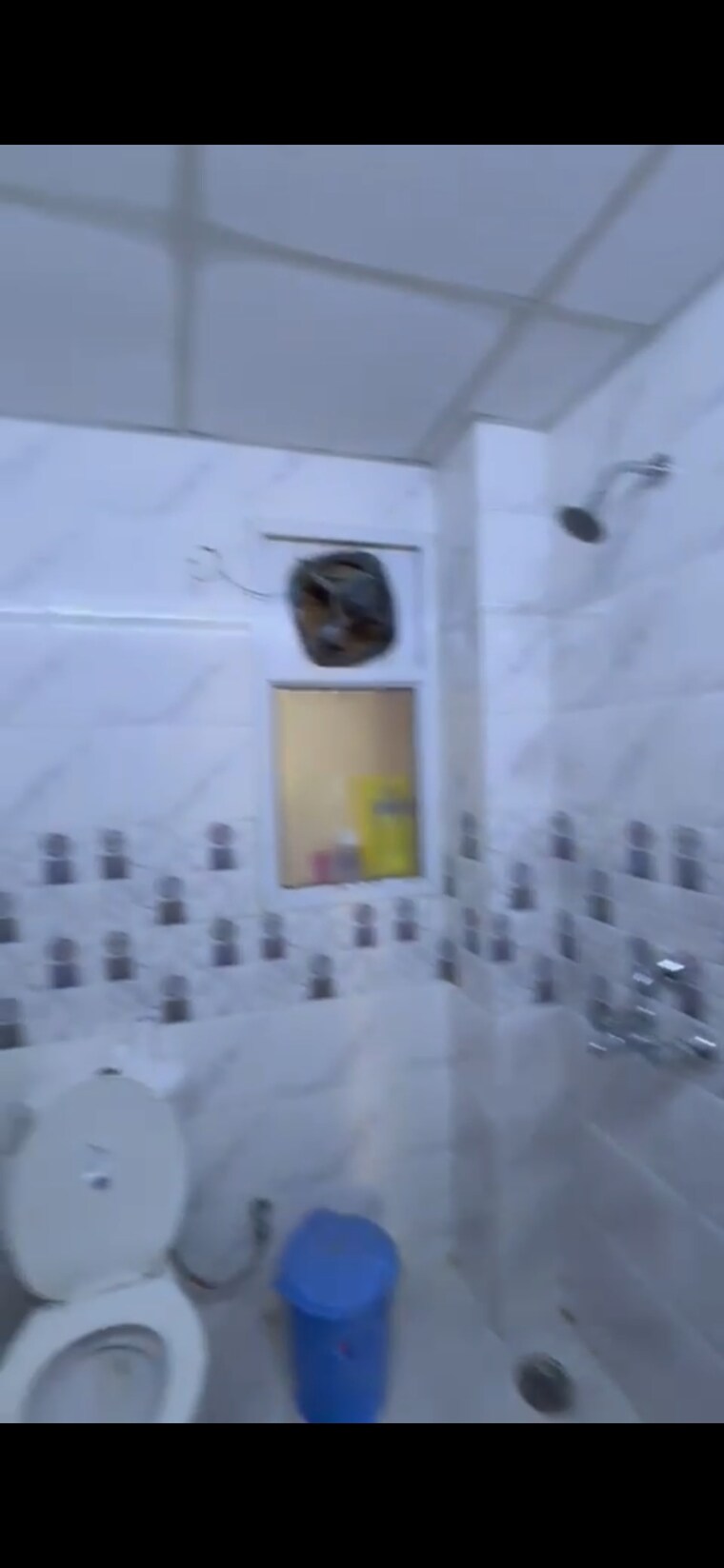 Bathroom, exotica-dreamville 2 Bedroom 920 Sq.Ft. Apartment In Sector 16c Greater Noida Greater Noida 9541056