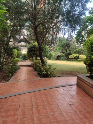 3 BHK Apartment For Rent in Rachana Beverly Hills, Baner