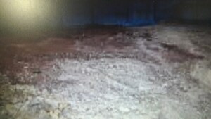  Plot For Sale in Palace Guttahalli