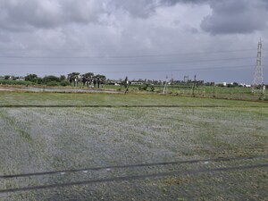 Plot Area in  Industrial Plot at Kim – for Rent