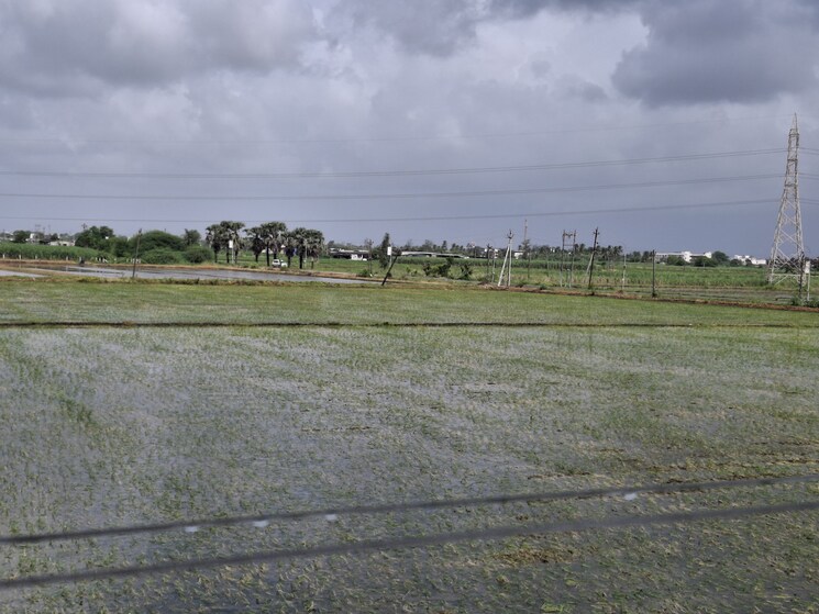 undefined, kim Commercial Industrial Plot 14 Acre In Kim Surat 9541601