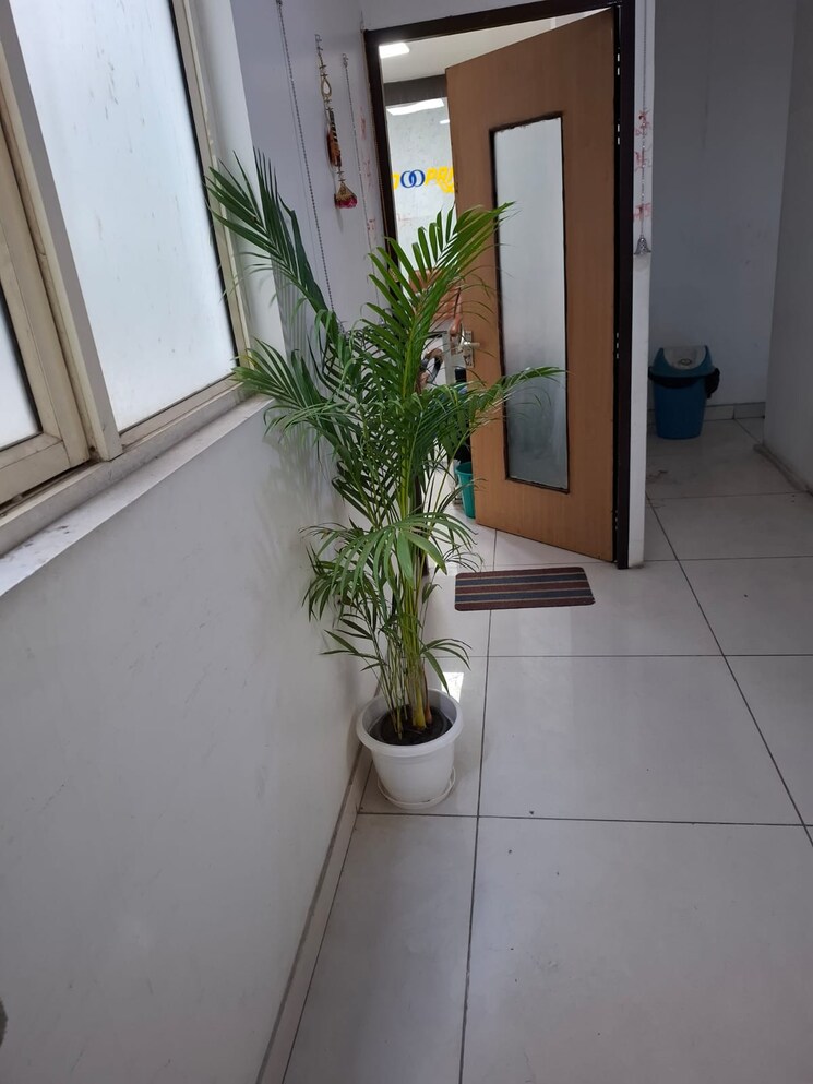 Floor Plan, sector 2 Commercial Office Space in IT/SEZ 900 Sq.Ft. In Sector 2 Noida 9541995