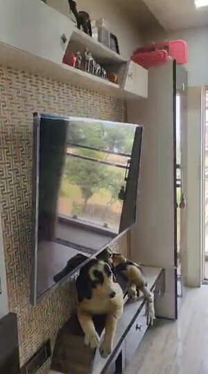 1 BHK Apartment For Rent in Chembur