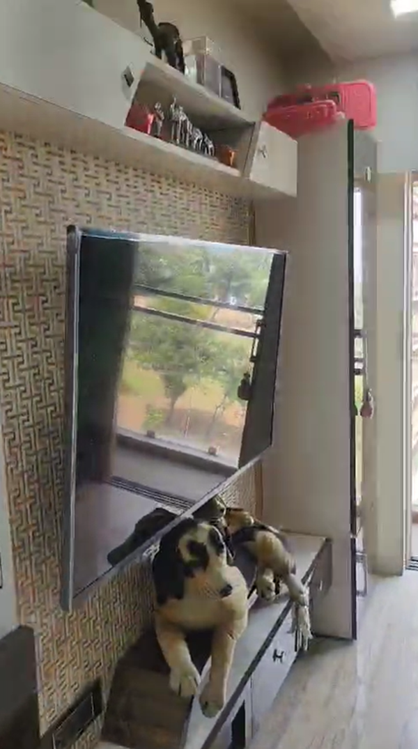 1 BHK Apartment For Rent in Sky Lux Chembur Mumbai