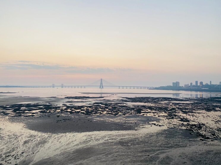 Exterior View, makhdoom-sea-palace 4 Bedroom 1650 Sq.Ft. Apartment In Mahim Mumbai 9542013