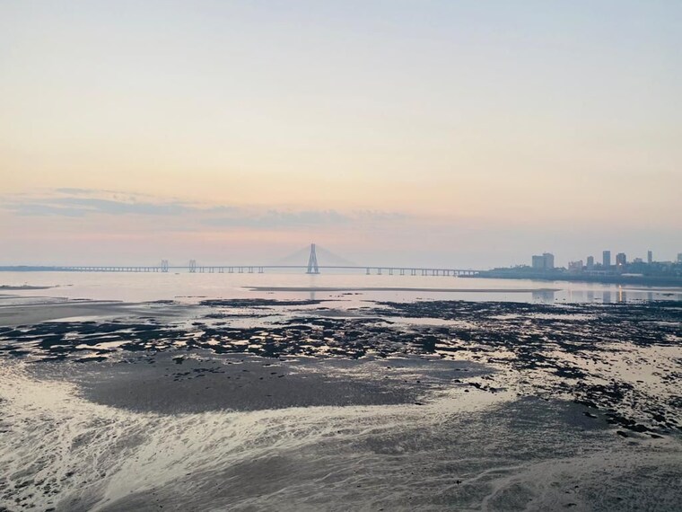 Exterior View, makhdoom-sea-palace 4 Bedroom 1650 Sq.Ft. Apartment In Mahim Mumbai 9542013