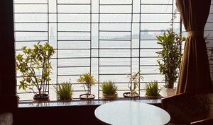 4 BHK Apartment – Exterior View View at Makhdoom Sea Palace, Mahim - for Sale