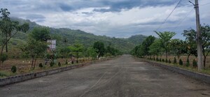 Plot Area in  Plot at Kothavalasa – for Sale