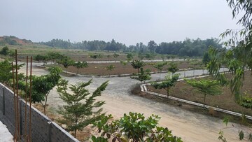 Plot Area in  Plot at Kothavalasa – for Sale