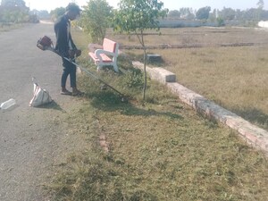 Plot Area in  Plot at Mohanlalganj – for Sale