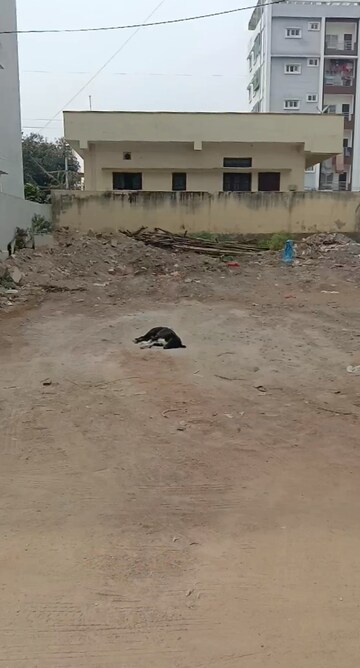  Plot – Exterior View View at Bandlaguda Jagir - for Sale