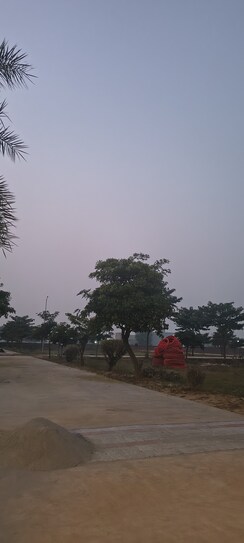 Plot For Sale in Sujanpur
