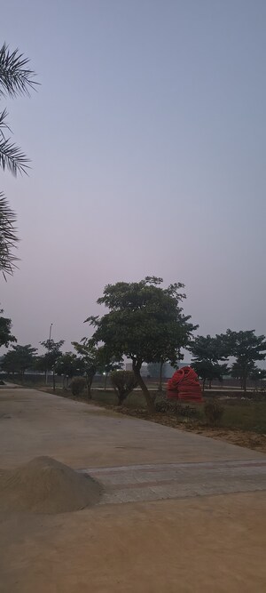  Plot For Sale in Sujanpur
