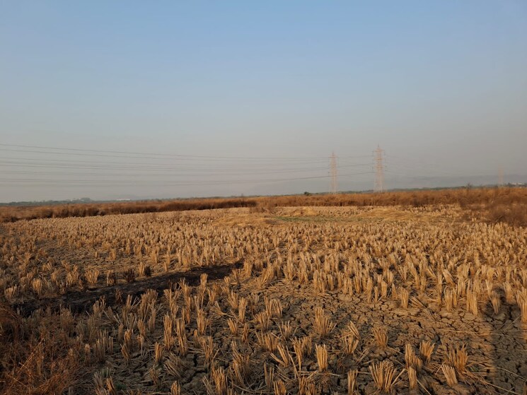 undefined, aiims road Commercial Land 3222 Sq.Ft. In Aiims Road Patna 9542739