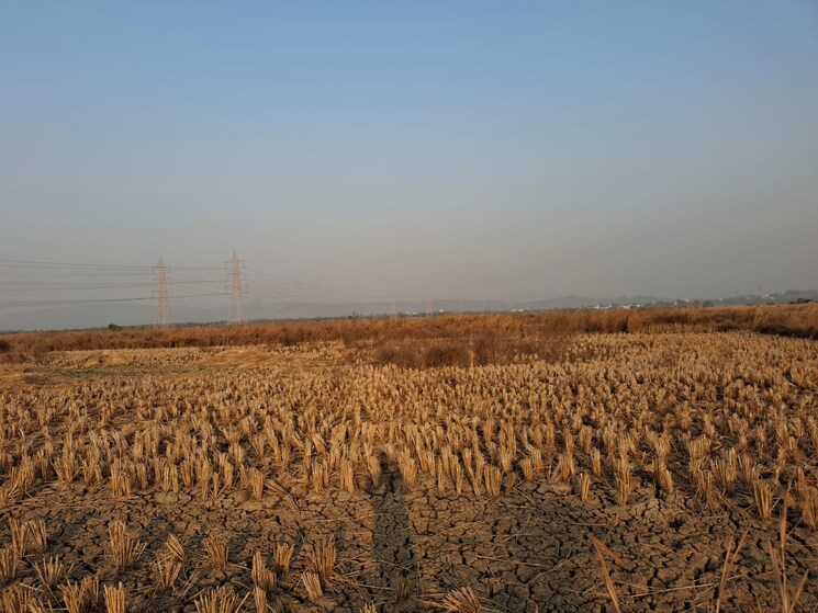 undefined, aiims road Commercial Land 3222 Sq.Ft. In Aiims Road Patna 9542739