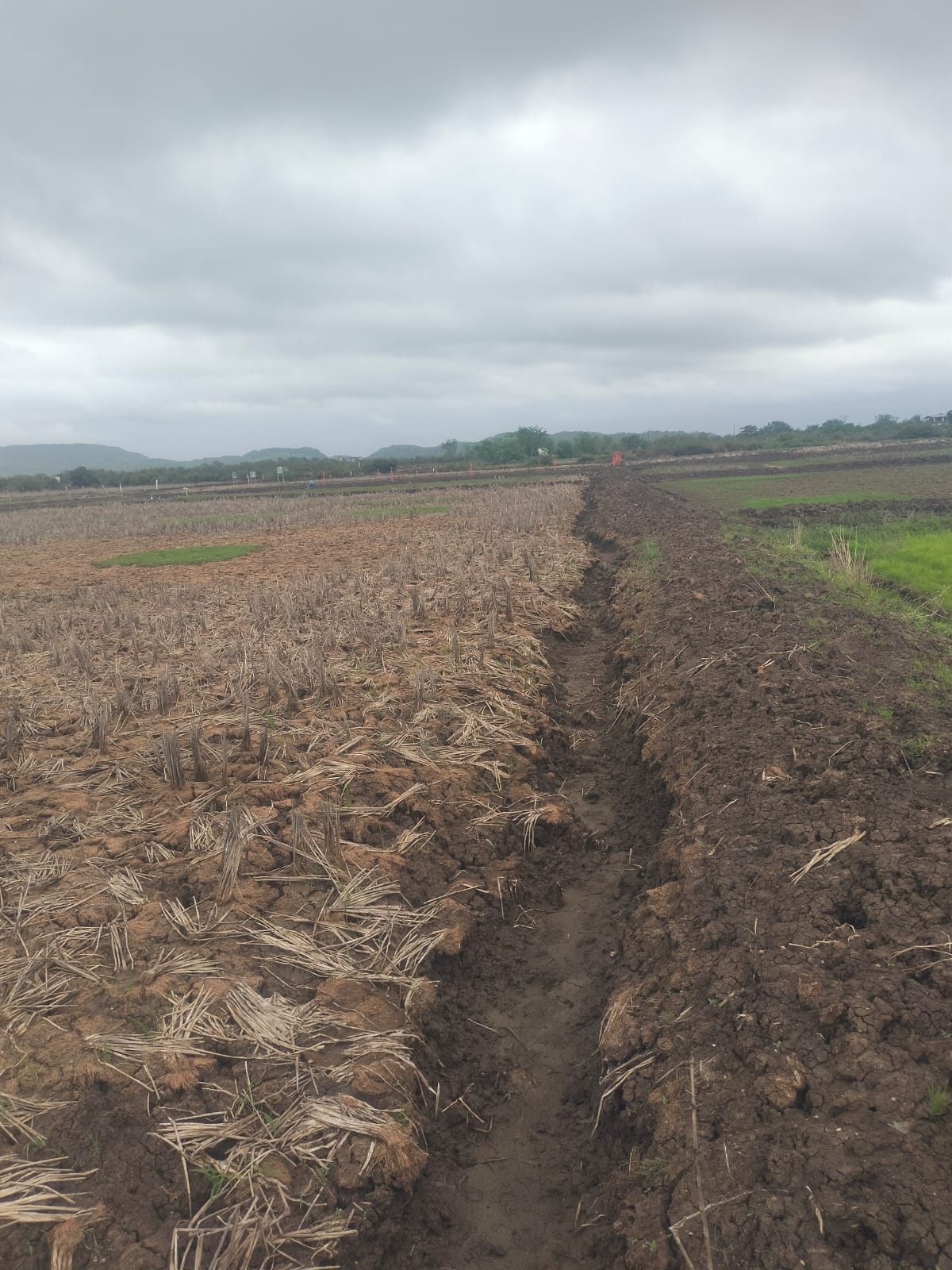 Land For Sale in Aiims Road