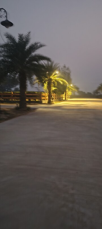  Plot – Exterior View View at Sujanpur - for Sale