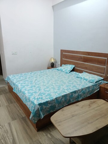 1 BHK Apartment For Rent in Paramount Golfforeste, Zeta I Greater Noida