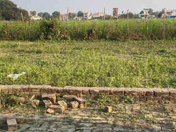 Plot Area in  Plot at Kamta – for Sale