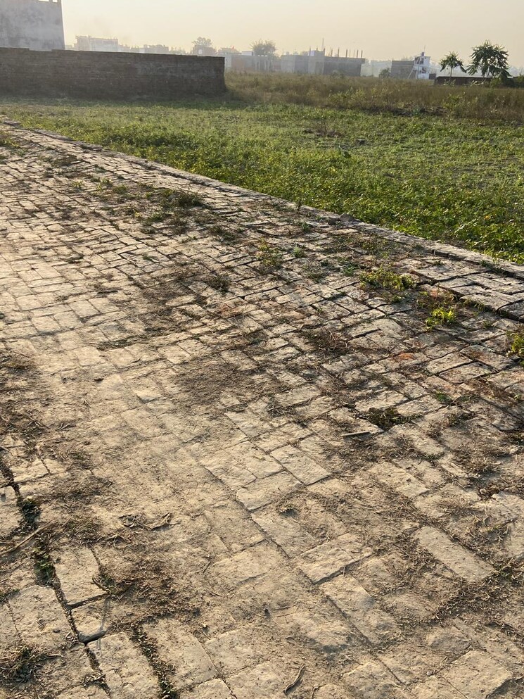 undefined, kamta  1000 Sq.Ft. Plot In Kamta Lucknow 9543515