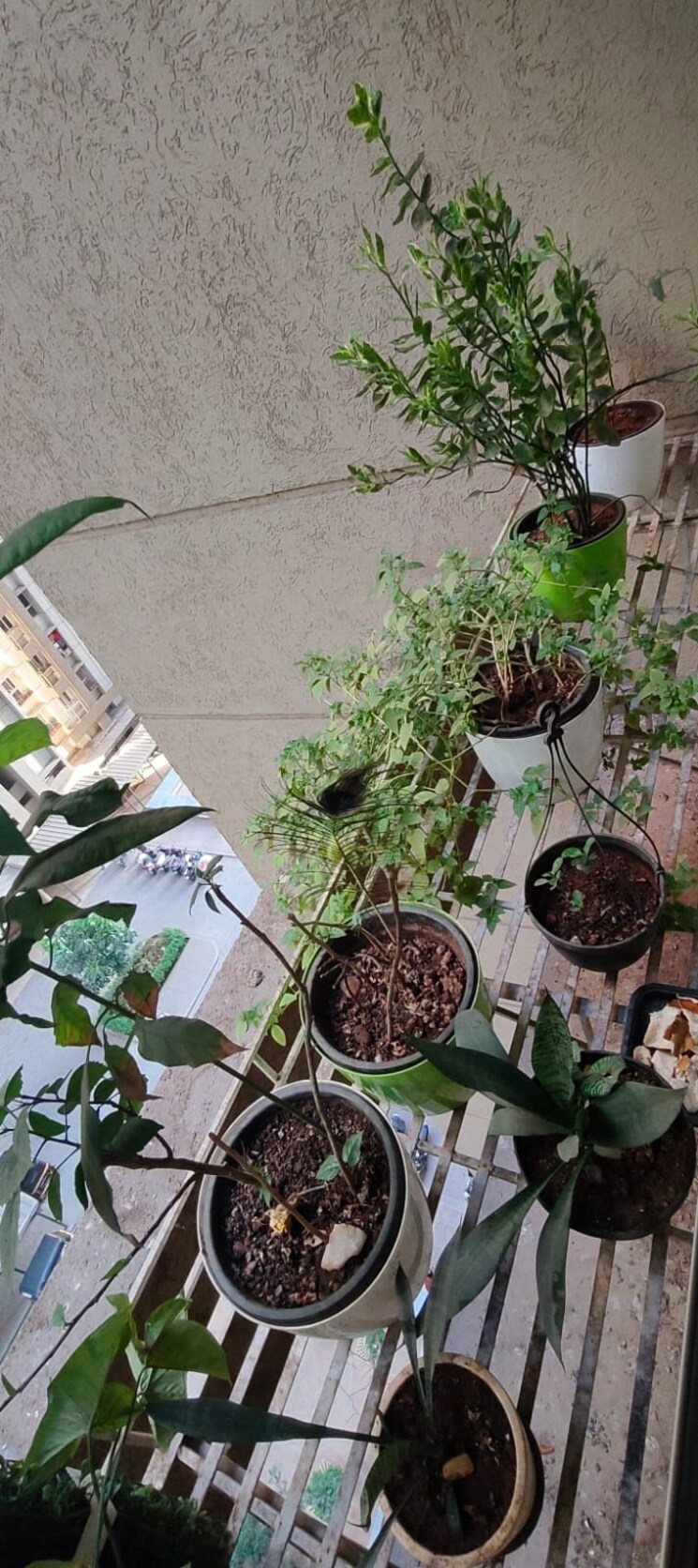 Exterior View, lodha-amara 1 Bedroom 490 Sq.Ft. Apartment In Kolshet Road Thane 9543339