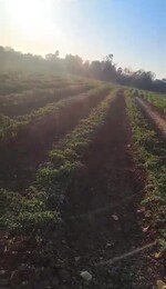 1 Acre Land in Shree Sai Datta