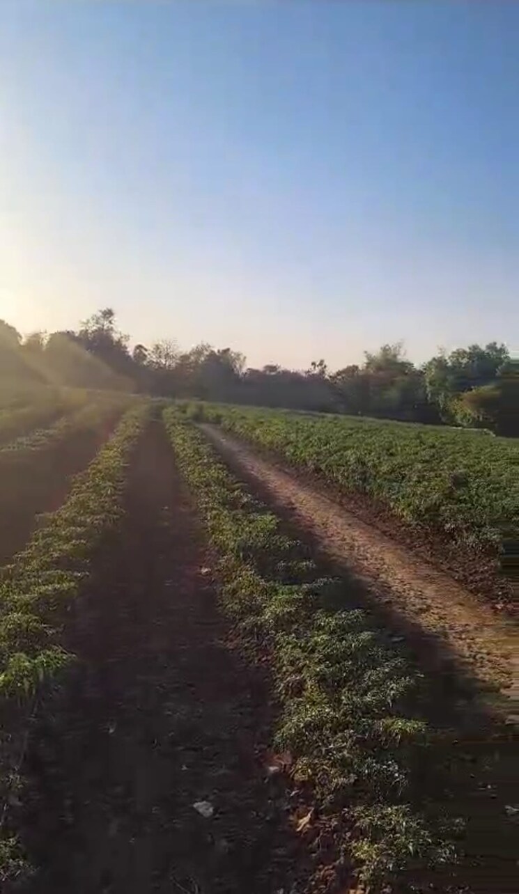 undefined, mahim Commercial Land 1 Acre In Mahim Palghar 9543377