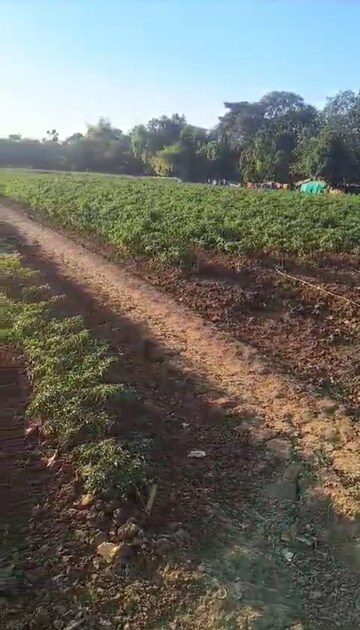 Plot Area in  Land at Mahim – for Sale