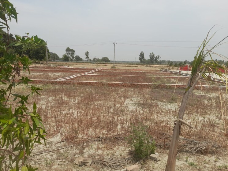 undefined, mohanlalganj  1000 Sq.Ft. Plot In Mohanlalganj Lucknow 9543483