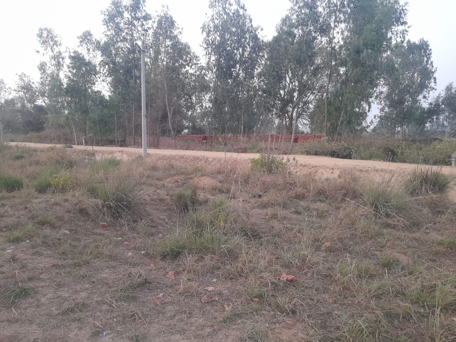 Plot For Sale in Gosainganj