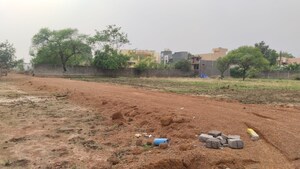 Plot Area in  Plot at Amleshwar – for Sale