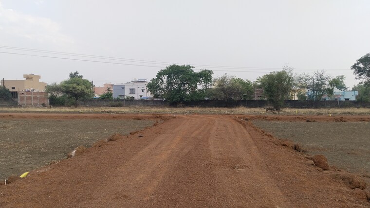 undefined, amleshwar  2500 Sq.Ft. Plot In Amleshwar Raipur 9543645