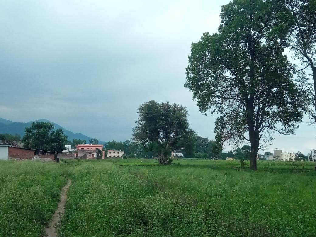 Plot For Sale in Raipur