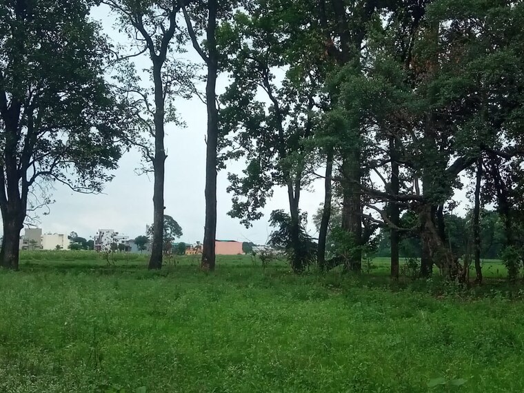 Garden, raipur  120 Sq.Yd. Plot In Raipur Dehradun 9544579