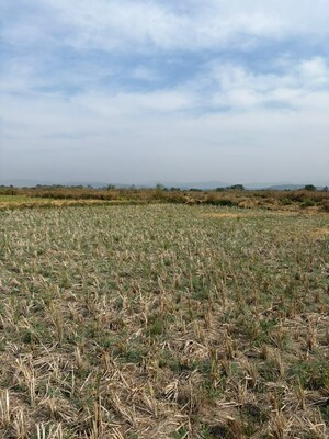  Plot For Sale in Jui