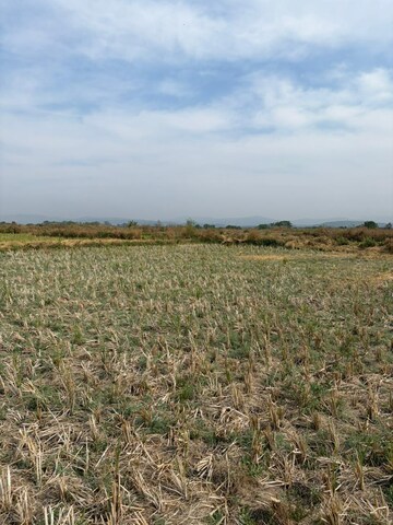  Plot For Sale in Jui