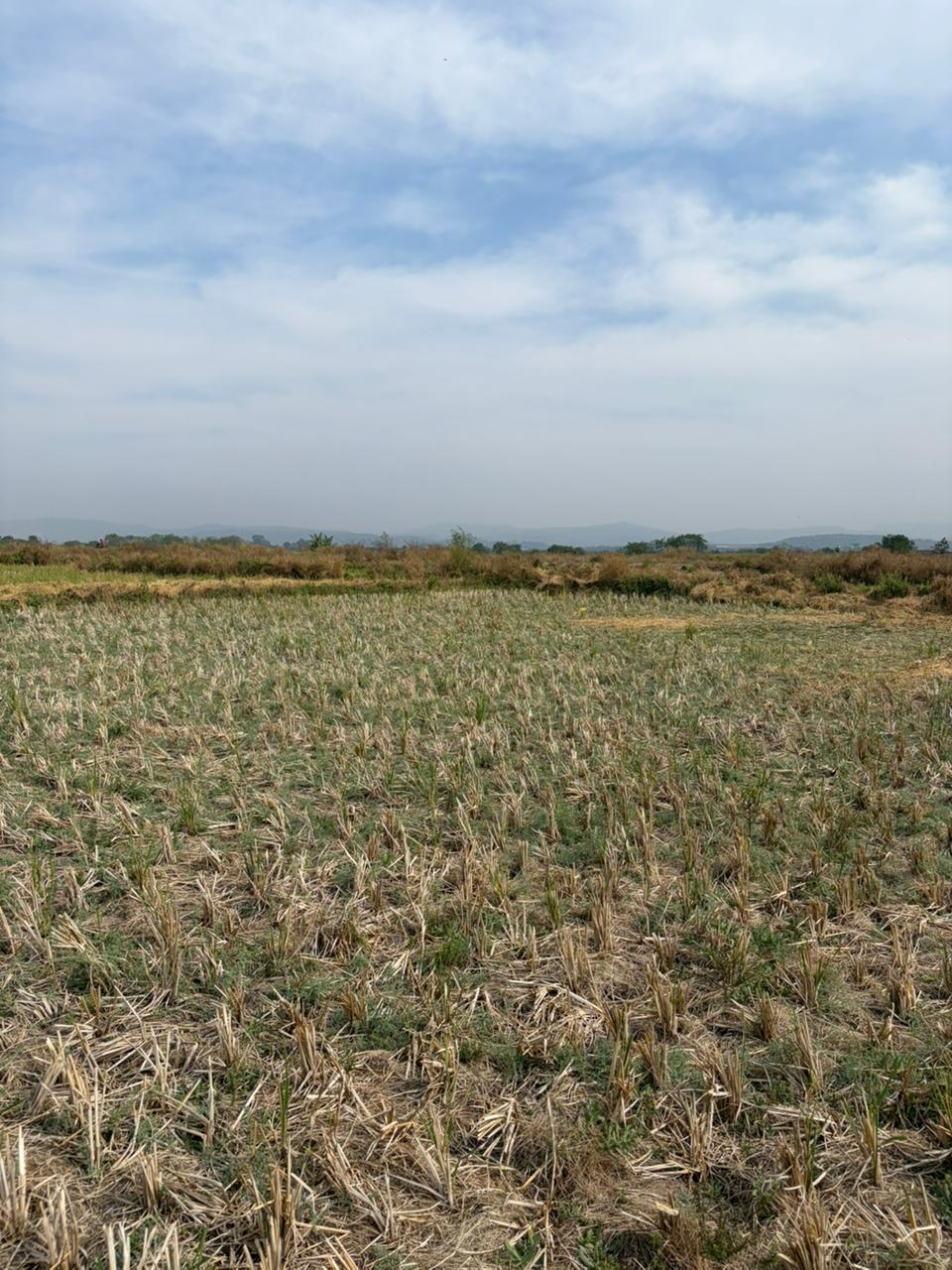 Plot For Sale in Jui