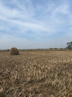 1200 Sq.Ft. Plot in Nerul Sector 1