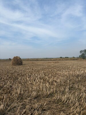  Plot For Sale in Nerul Sector 1