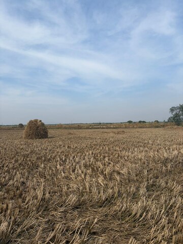  Plot For Sale in Nerul Sector 1