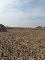 1000 Sq.Ft. Land in Vindhane