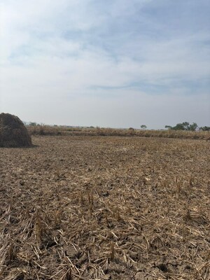  Land For Sale in Vindhane