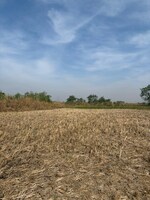 1200 Sq.Ft. Plot in New Panvel