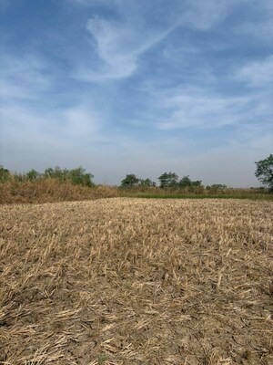  Plot For Sale in New Panvel