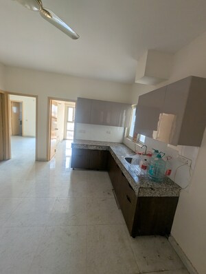 Living Room in 3 BHK Apartment at GLS Avenue 51, Sector 92 – for Rent